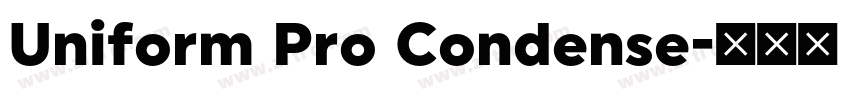 Uniform Pro Condense字体转换